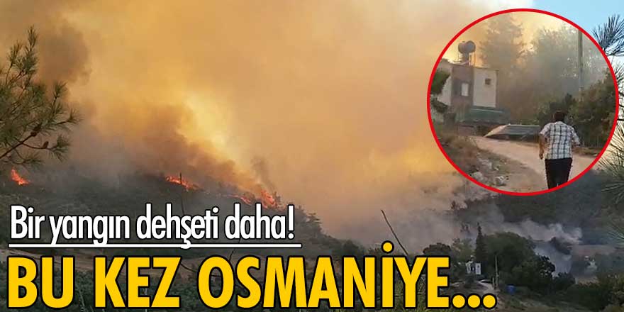 Antalya'daki yangının ardından Osmaniye'de de yangın çıktı!