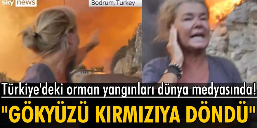 Türkiye'deki orman yangınları dünya medyasında