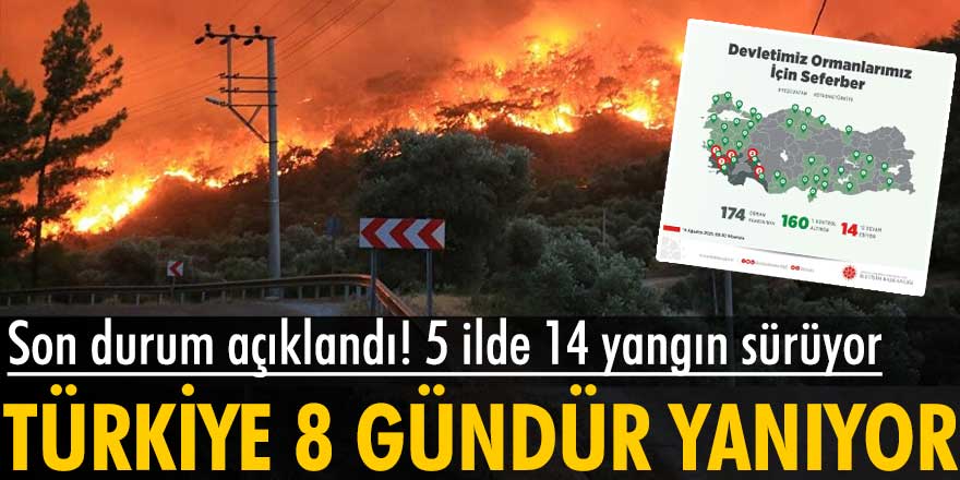 Türkiye'deki 8 günlük yangın bilançosu açıklandı
