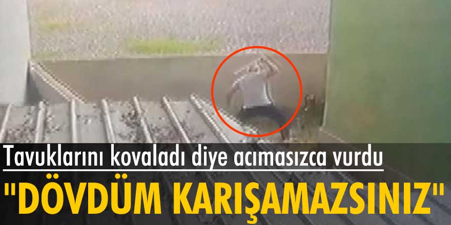 İstanbul'da bir kişi, tavuklarını kovaladı diye köpeki öldüresiye dövdü