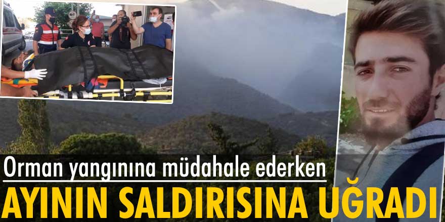 Orman yangınına müdahale eden Özkan Kaya'ya ayı saldırdı