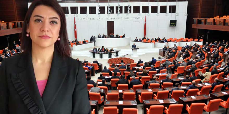 CHP'li Gamze Taşcıer, mevsim geçişinde artan grip salgınını meclise taşıdı