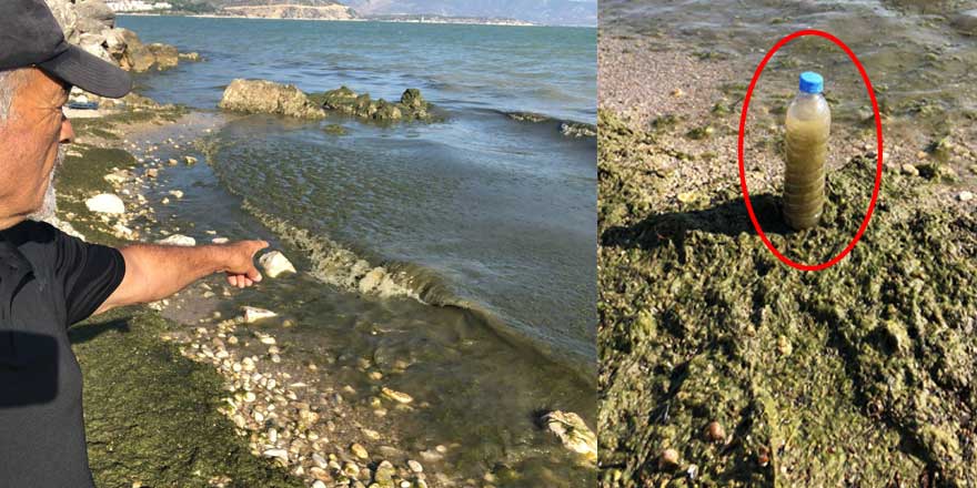 Eğirdir Gölü’nde akılalmaz kirlilik: Atıklar kapladı