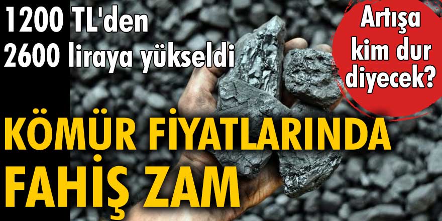 CHP'li Ömer Fethi Gürer: Kömürde fahiş fiyat artışına kim dur diyecek