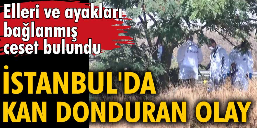 İstanbul'da kan donduran olay! Elleri ve ayakları bağlanmış ceset bulundu