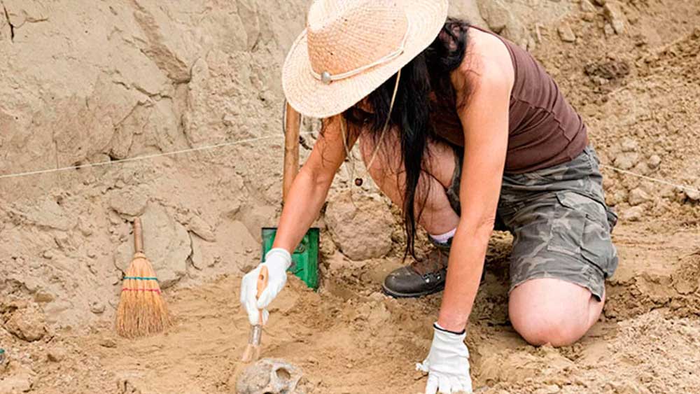 Muğla Kavaklıdere Belediyesi 20 arkeolog alıyor