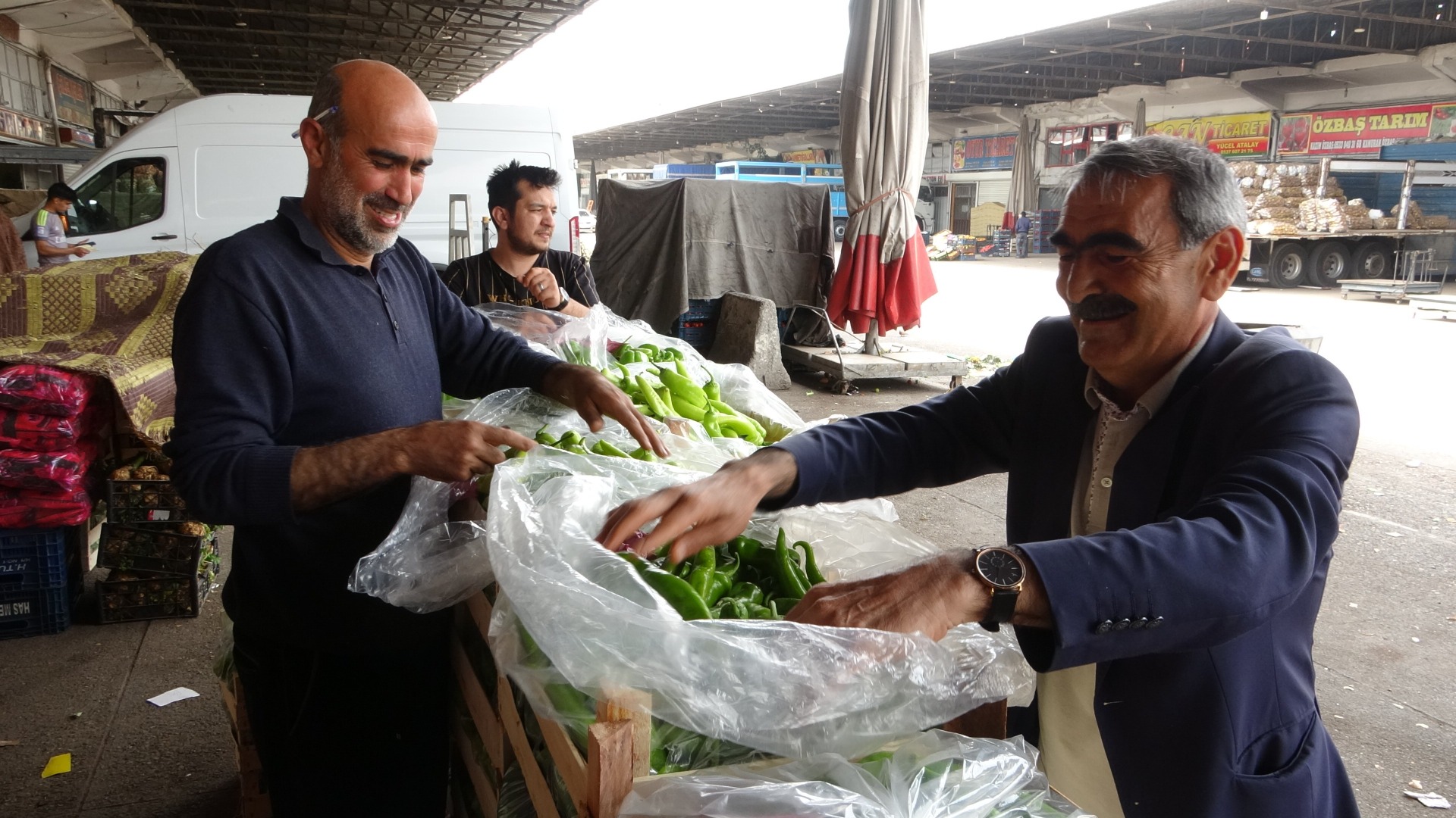 ﻿Türkiye ekonomisinin halini gösteren 'ucuz salatalık' tartışması