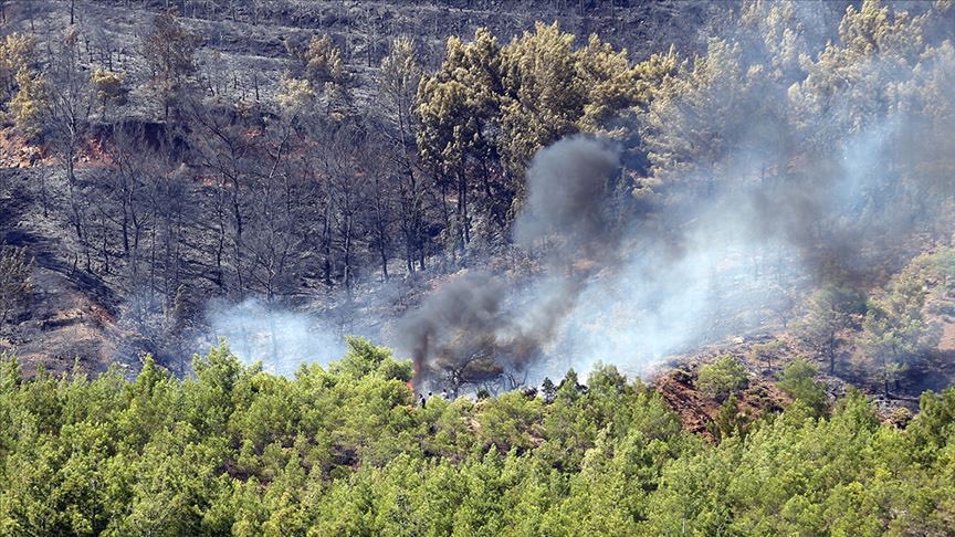 ﻿Fethiye'de yıldırım düştü, orman yangını çıktı