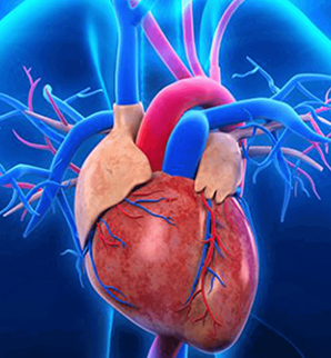Prof. Boztosun: Tam tıkalı kalp damarlarına ameliyatsız müdahale mümkün