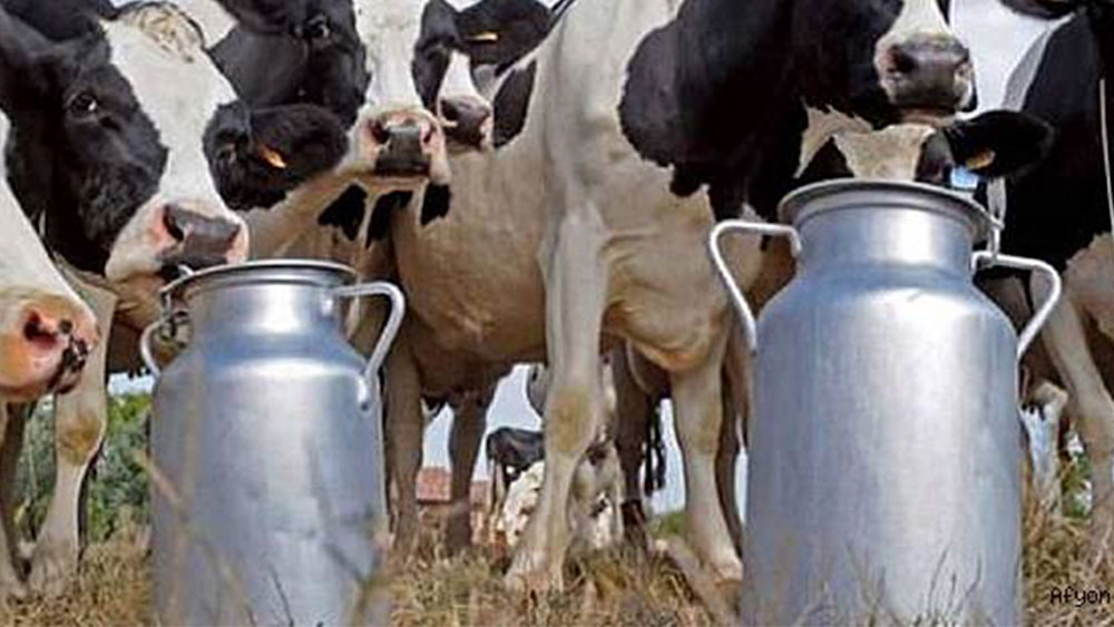 Ulusal Süt Konseyi toplanıyor, süte büyük zam geliyor