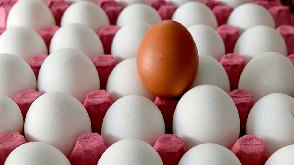 Tavuktan yumurta değil zam çıkıyor! Bir koli yumurtanın fiyatı üç haneli olacak