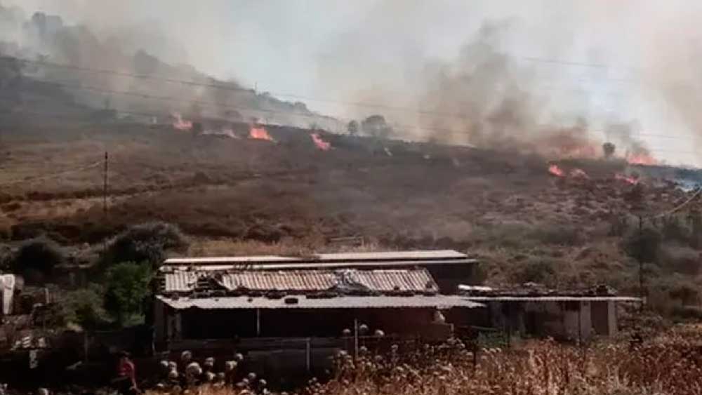 Bergama ve Dikili'de yangın paniği