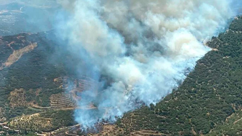 İzmir’de korkutan orman yangınları!
