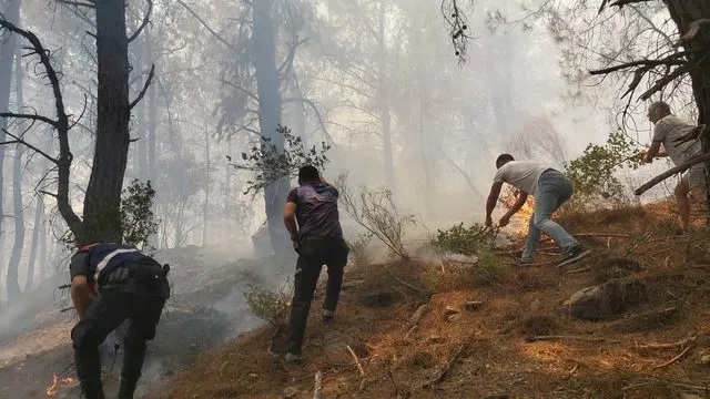 Muğla Datça'dan sonra bir başka ilde daha orman yangını başladı