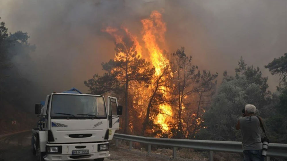 Datça'da orman yangını büyüyor