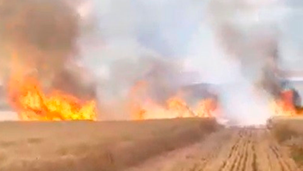 Tokat'ta yangın: 30 dönüm buğday tarlası kül oldu
