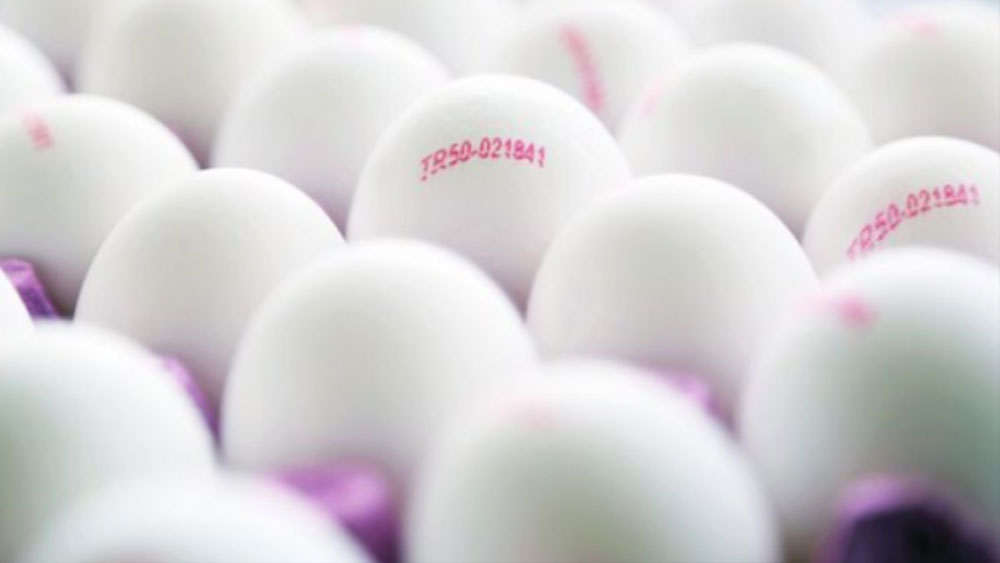 Yumurta alırken üzerindeki kodun ilk rakamına dikkat edin