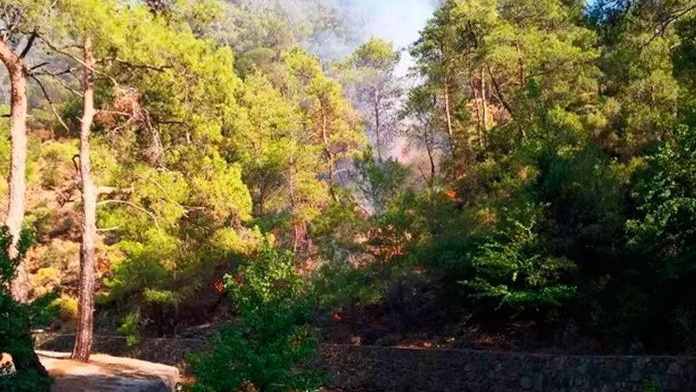 Marmaris'te ormanlık alanda yangın