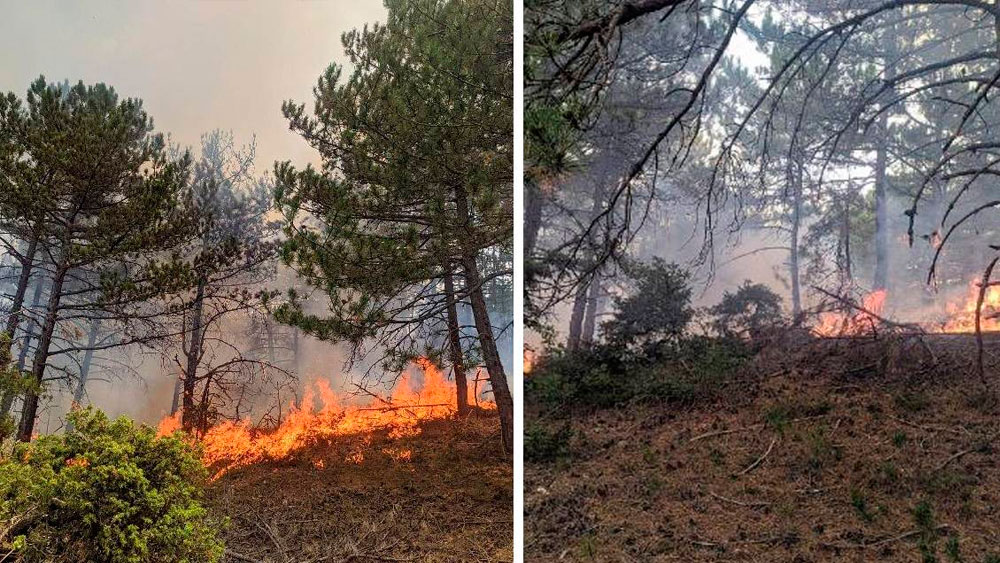 Eskişehir'de, yıldırım isabet eden ormanda yangın çıktı