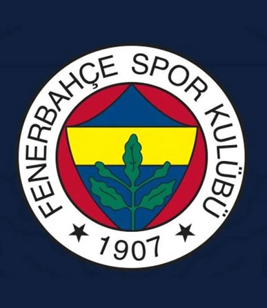 Fenerbahçeli futbolcu PFDK'ya sevk edildi
