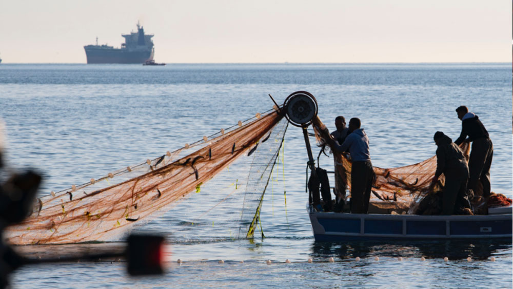 Balıkçılara müjde: Av yasağı kalkıyor