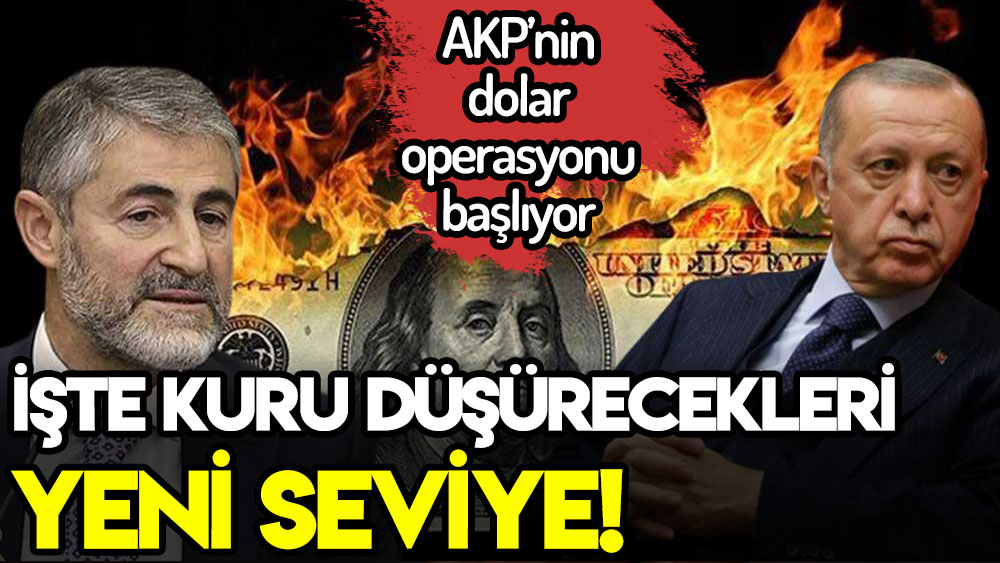 Erdoğan'ın doları bir gecede 9 liraya düşürme planını deşifre etti