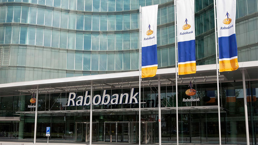 Hollandalı Merkezli Rabobank Türkiye iştirakını satıyor