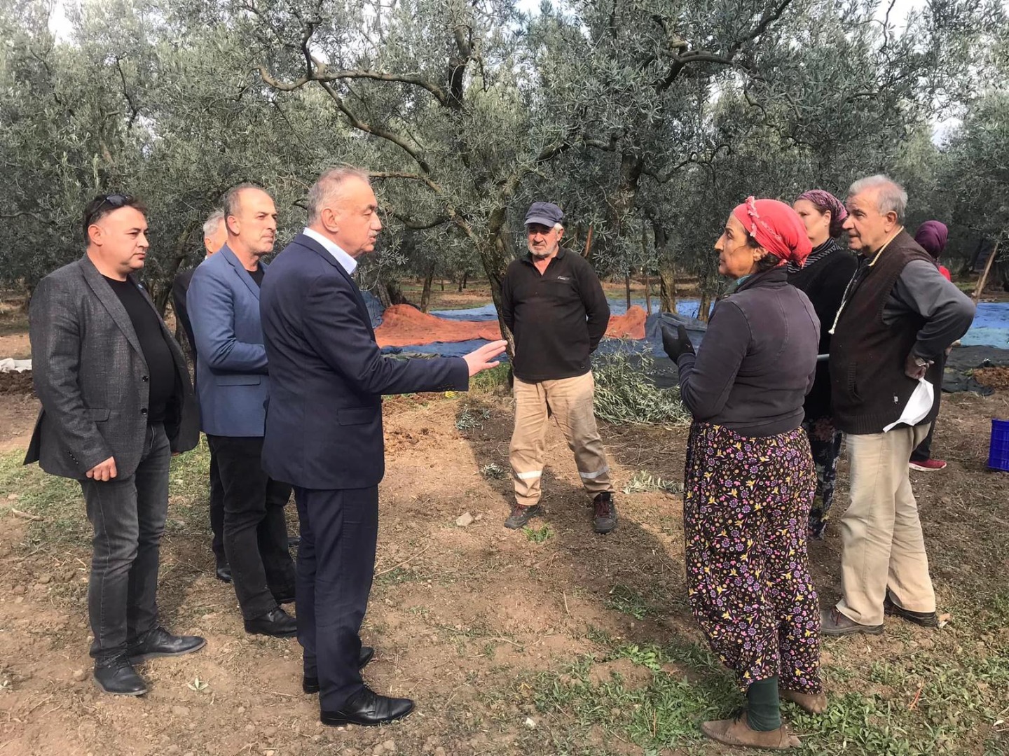 İYİ Partili İsmail Tatlıoğlu: Böyle giderse zeytini üretecek çiftçiyi bulamayacaklar