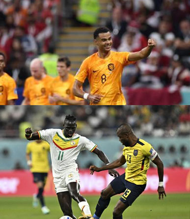 Hollanda ve Senegal son 16'ya yükseldi!