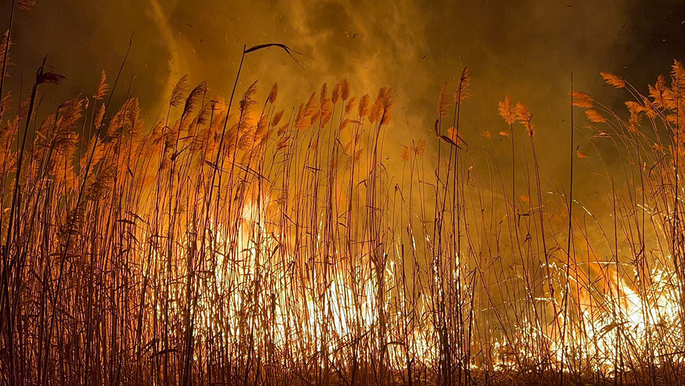 Eber Gölü’nde 7.yangın! Yine dumanlar yükseldi