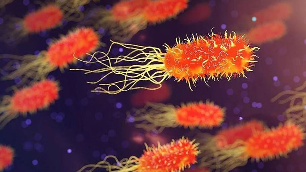 DSÖ’den süper bakteri uyarısı: İlaca karşı dirençli, çok tehlikeli