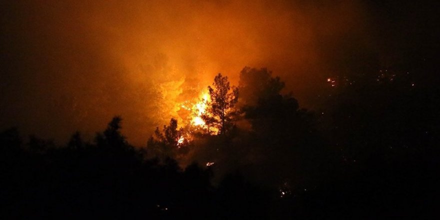 Son 5 yılda çıkan 5 bin 862 orman yangınlarının nedeni bilinmiyor!