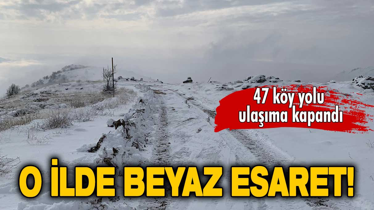 Tunceli’de kar esareti: 47 köy yolu ulaşıma kapandı!