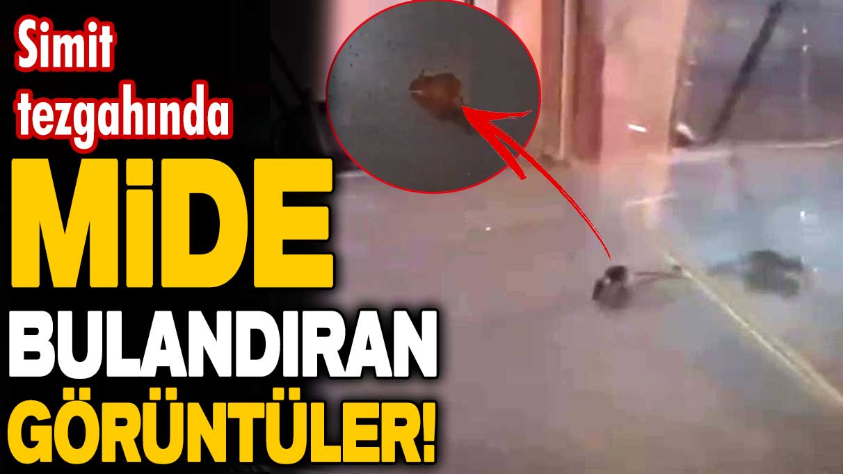 İstanbul'da simit tezgahında mide bulandıran görüntüler: Fare böyle gezdi!