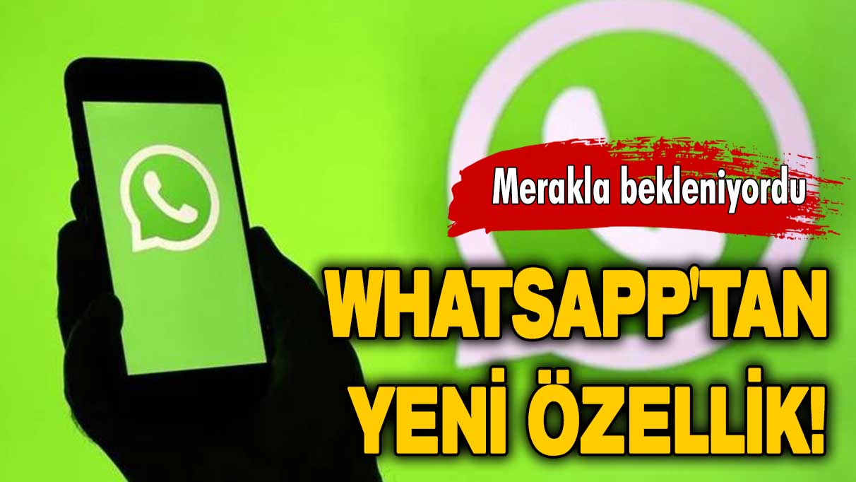 WhatsApp'tan yeni özellik: Görünmez olmak artık mümkün!