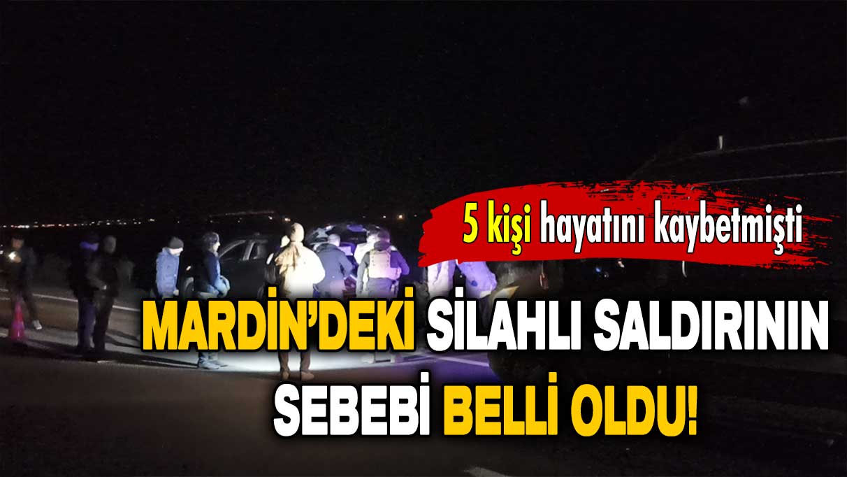 5 kişi hayatını kaybetmişti: Mardin'deki silahlı saldırının sebebi belli oldu!
