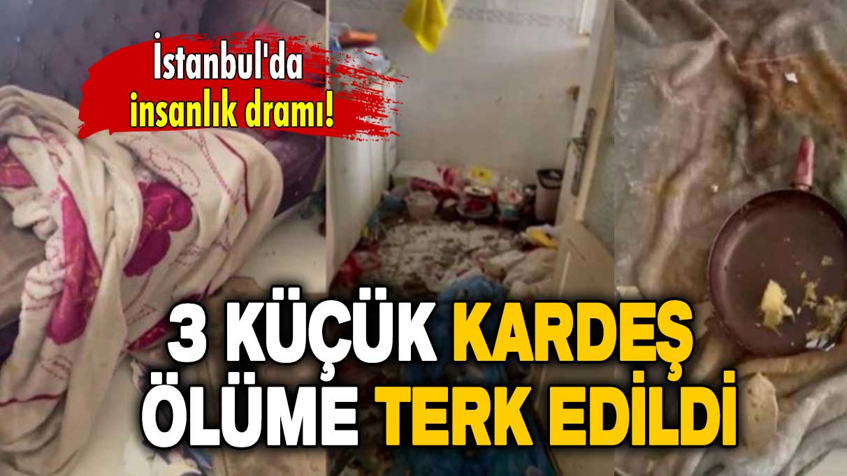 İstanbul'da insanlık dramı: 3 küçük kardeş ölüme terk edildi!