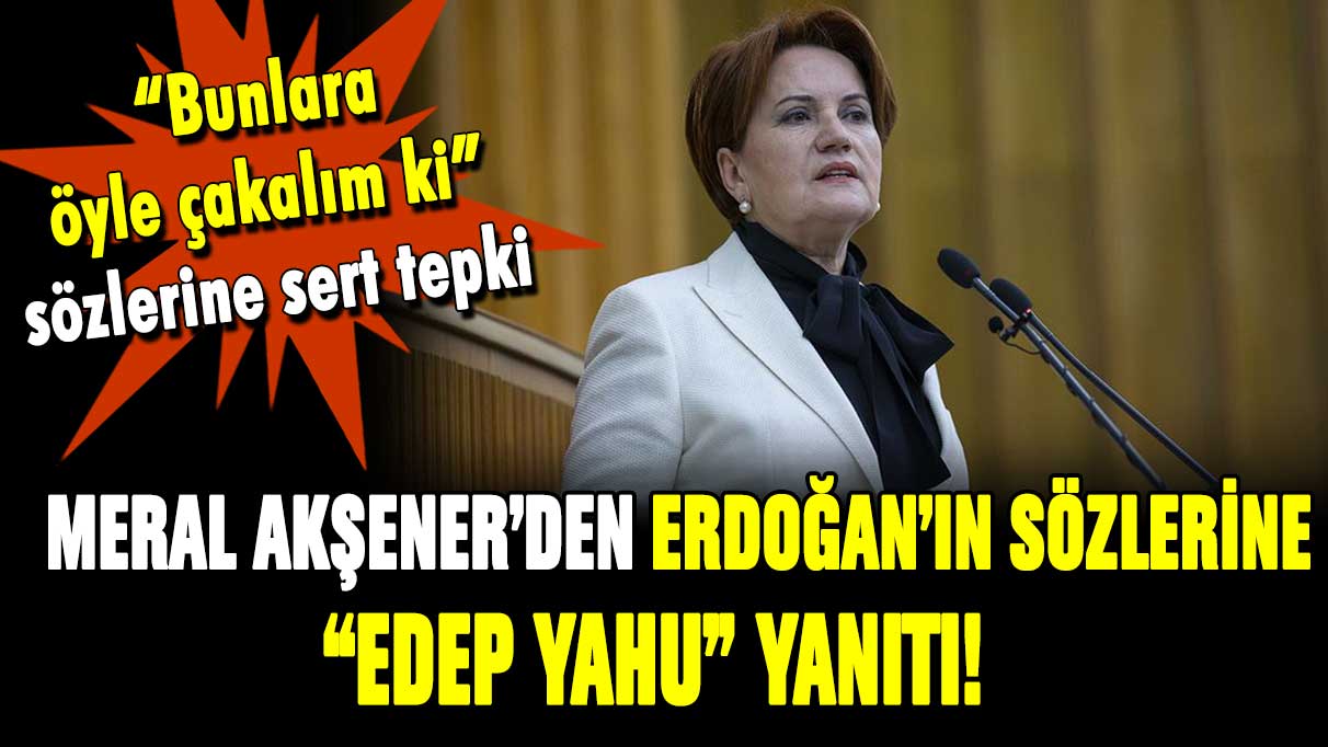 Erdoğan'ın sözlerine Meral Akşener'den sert tepki: "Edep yahu"