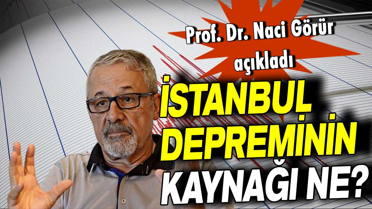 Prof. Dr. Naci Görür açıkladı: İstanbul depreminin kaynağı ne?