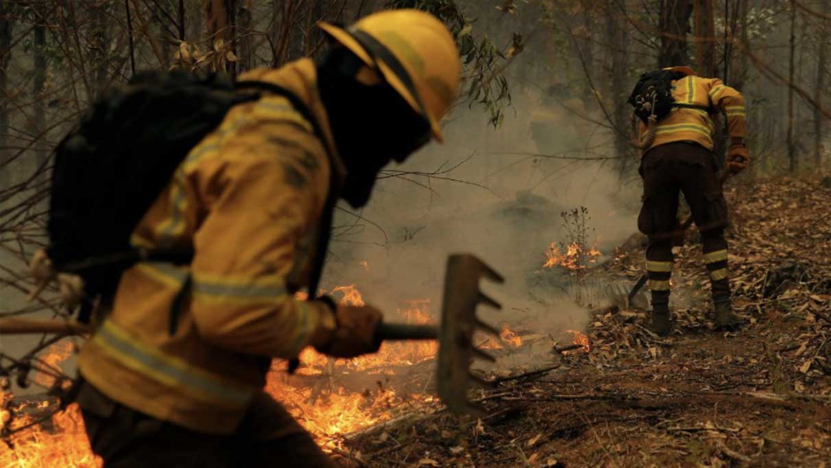 Şili'de orman yangınları: 22 kişi hayatını kaybetti