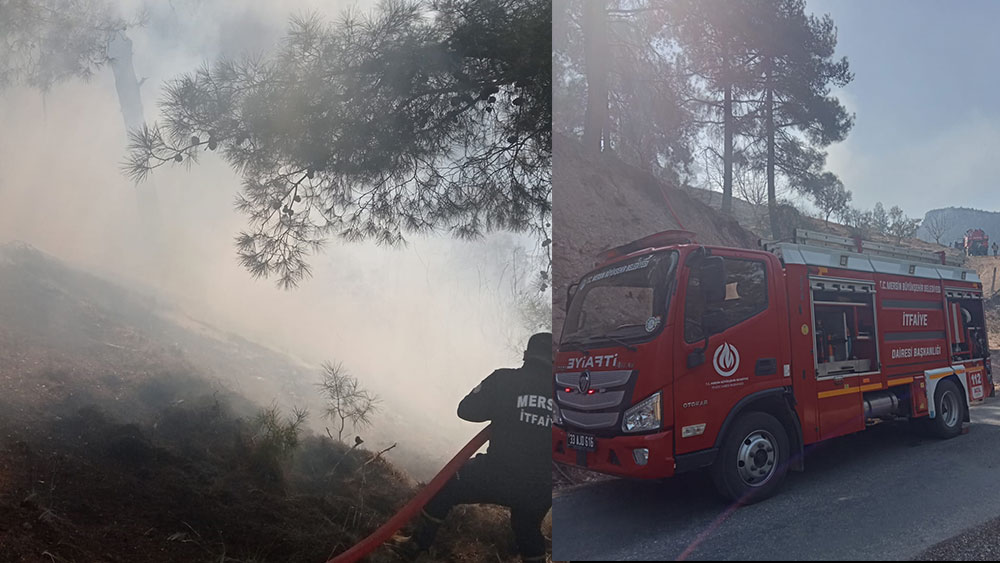 Mersin'de ormanlık alanda yangın!