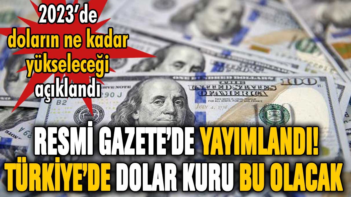 Resmi gazetede yayımlandı! İşte Türkiye'de görülecek dolar kuru