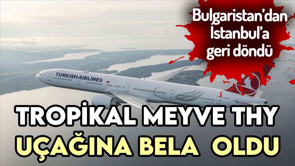 THY uçağı ''durian'' meyvesi yüzünden Bulgaristan'dan İstanbul'a döndü
