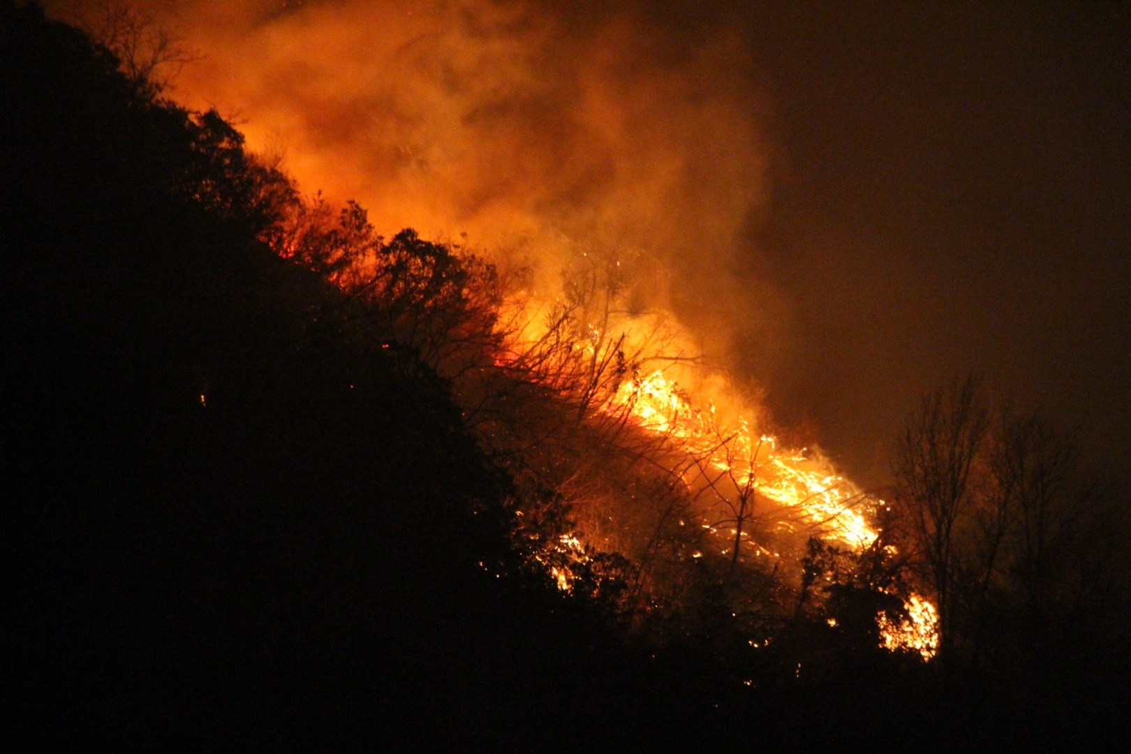 Trabzon’da orman yangını!