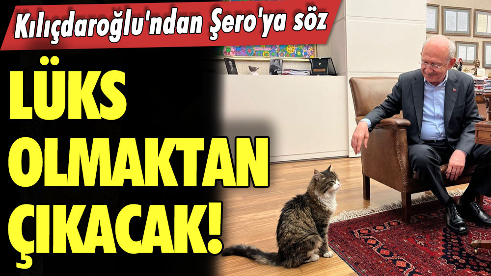 Kemal Kılıçdaroğlu'ndan Şero'ya söz: Lüks olmaktan çıkacak!