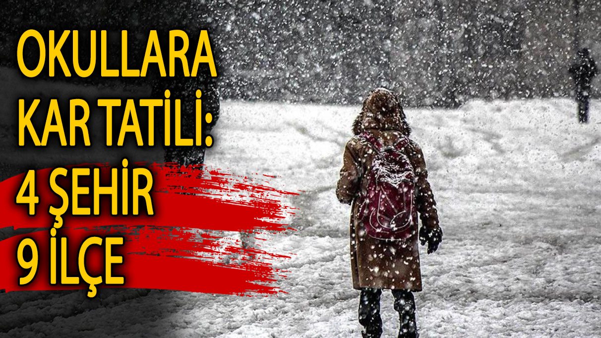 Okullara kar tatili: 4 şehir 9 ilçe
