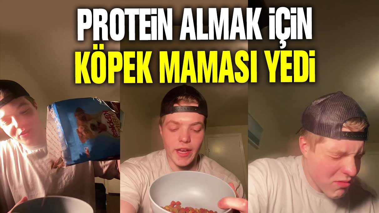 Protein almak için köpek maması yedi