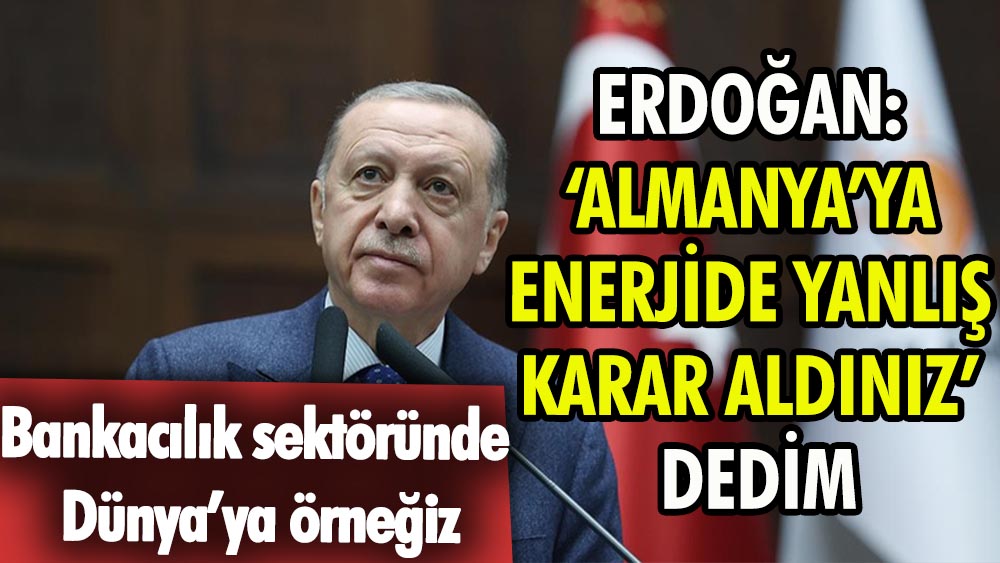 Erdoğan: ‘Almanya’ya enerjide yanlış karar aldınız’ dedim
