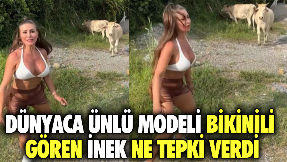 Dünyaca ünlü modeli bikinili gören inek ne tepki verdi