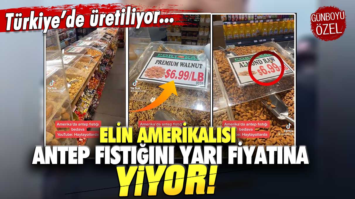 Türkiye'de üretilse de: Elin Amerikalısı antep fıstığını yarı fiyatına yiyor!